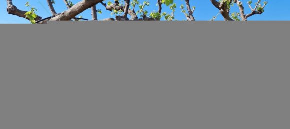 7-Zimmer Villa in Santa Caterina dello Ionio, Italy, Nr. 123604 16