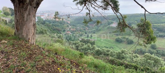 2625m² Land in Oeiras, Portugal No. 79544 11