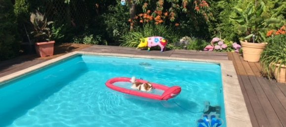 Casa de 4 dormitorios en Leipzig, Germany No. 182818 14