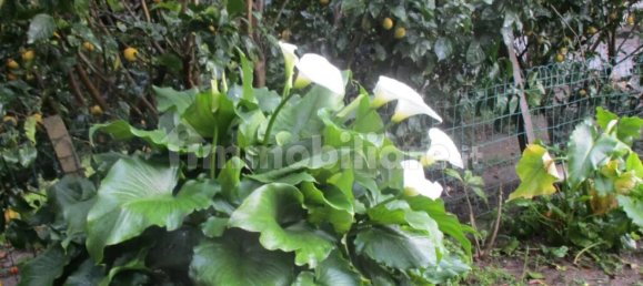 Квартира с 3 спальнями в Кашана Терме Лари, Италия № 94440 14