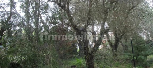 Квартира с 3 спальнями в Кашана Терме Лари, Италия № 94440 22