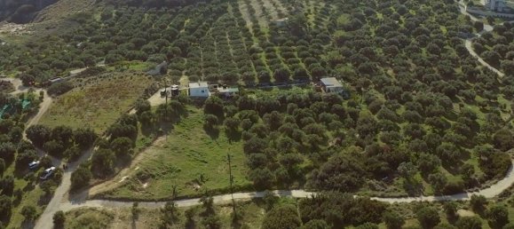 فندق في Sitia, Greece 4100متر مربع رقم 3431 2