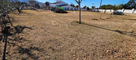 5 bedrooms House in Riells i Viabrea, Spain No. 112061 29