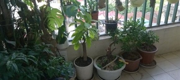 Apartamento T3 em Hai Ba Trung, Vietnam N.º 330 14