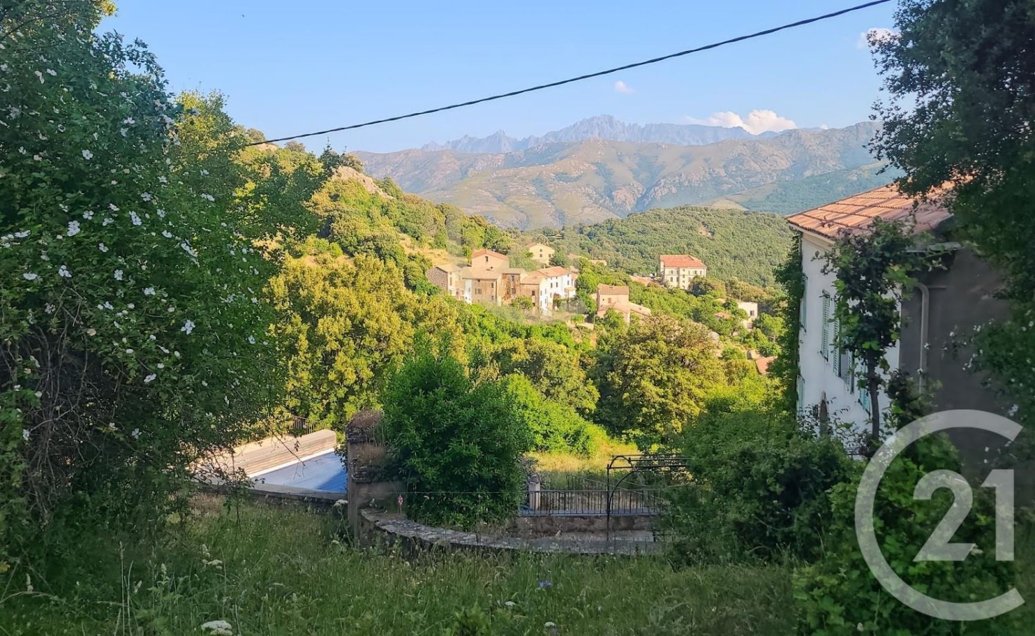 1459m² Land in Olmi-Cappella, France No. 217070