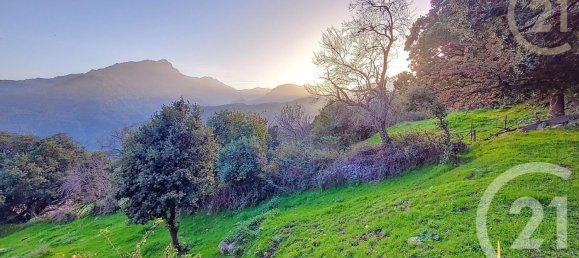 1459m² Land in Olmi-Cappella, France No. 217070 3