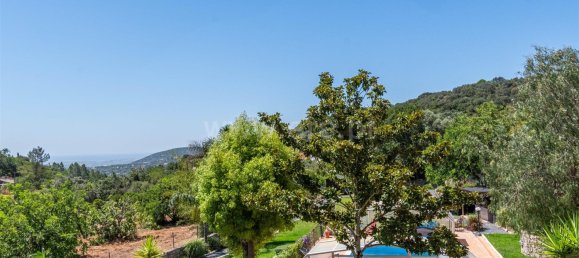 4 bedrooms House in Sao Bras de Alportel, Portugal No. 145494 14