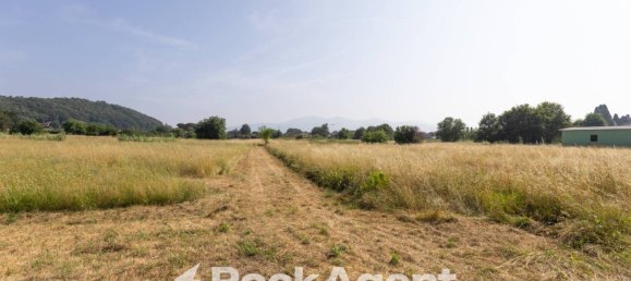 20170m² Land in Porcari, Italy No. 325638 5