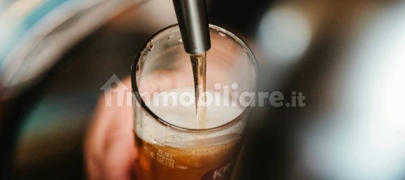 3غرفة عقار تجاري في Ostiglia, Italy رقم 71095 15