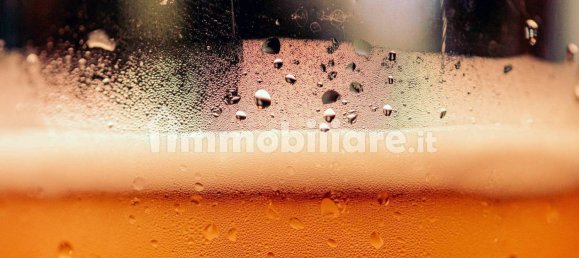 3غرفة عقار تجاري في Ostiglia, Italy رقم 71095 10