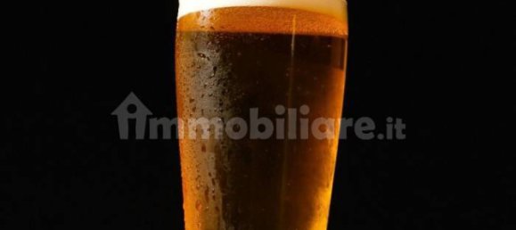 3غرفة عقار تجاري في Ostiglia, Italy رقم 71095 4