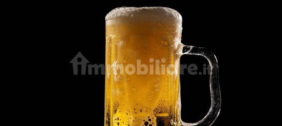 3غرفة عقار تجاري في Ostiglia, Italy رقم 71095 2