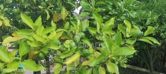 3 bedrooms House in Sintra, Portugal No. 114156 26