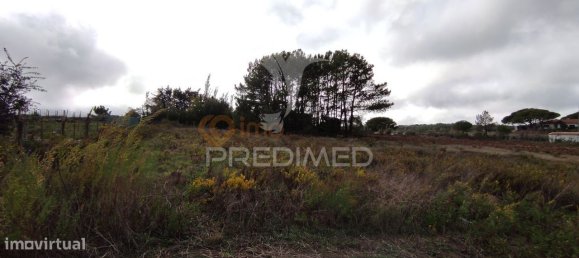 3 bedrooms House in Sintra, Portugal No. 114156 39