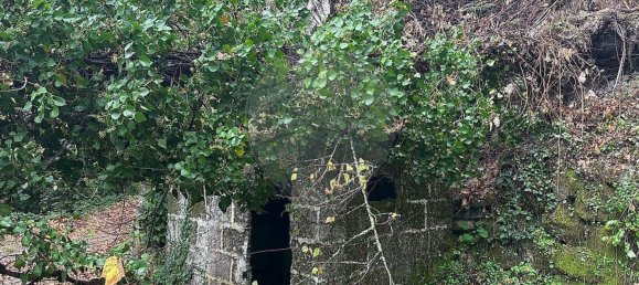 3 bedrooms House in Amarante, Portugal No. 189066 7