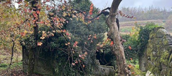 3 bedrooms House in Amarante, Portugal No. 189066 6