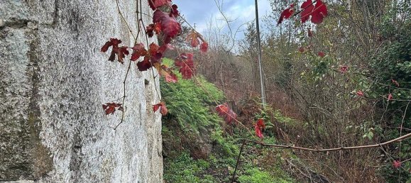 3 bedrooms House in Amarante, Portugal No. 189066 8