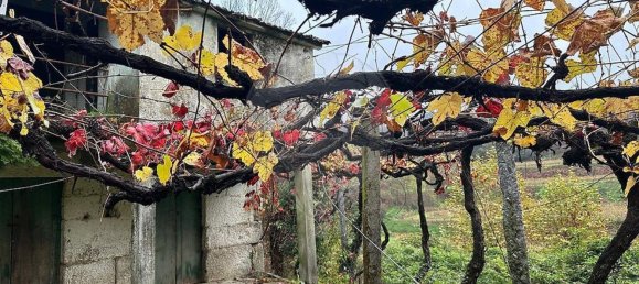 3 bedrooms House in Amarante, Portugal No. 189066 5