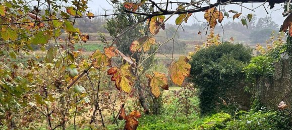 3 bedrooms House in Amarante, Portugal No. 189066 2