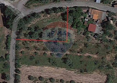  Land in Avelas de Cima, Portugal No. 64352