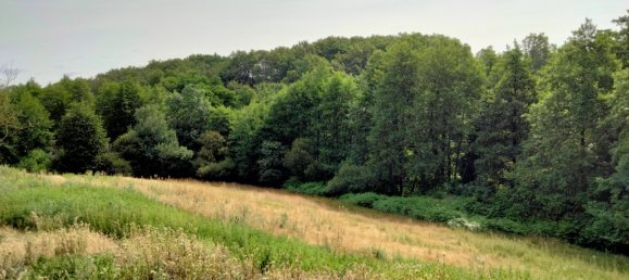 3 Schlafzimmer Haus in Vendee, France, Nr. 280362 6