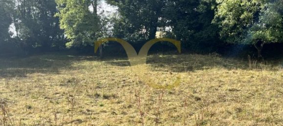 Propriété commerciale à Pilona, Spain 2825m² No. 140454 10