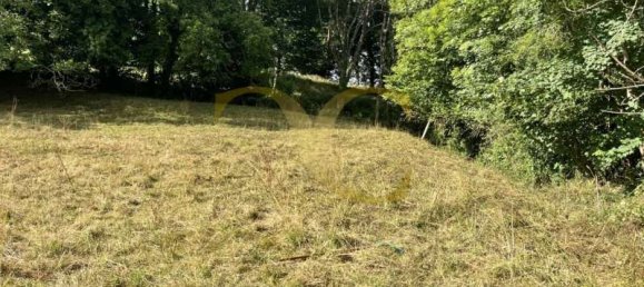 Propriété commerciale à Pilona, Spain 2825m² No. 140454 2