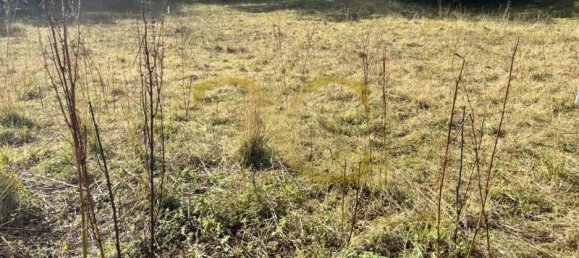 Propriété commerciale à Pilona, Spain 2825m² No. 140454 12