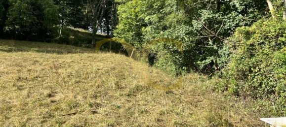 Propriété commerciale à Pilona, Spain 2825m² No. 140454 8