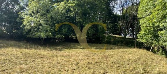 Propriété commerciale à Pilona, Spain 2825m² No. 140454 3