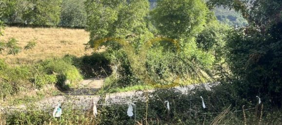 Propriété commerciale à Pilona, Spain 2825m² No. 140454 14