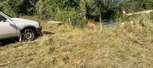 Propriété commerciale à Pilona, Spain 2825m² No. 140454 17