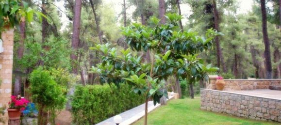 Moradia em banda em Chalkidiki, Greece 450 m² N.º 3432 6