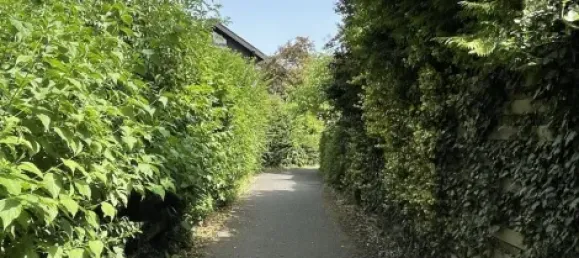 3 غرف نوم بنغالو في Rhein-Sieg, Germany رقم 197027 30