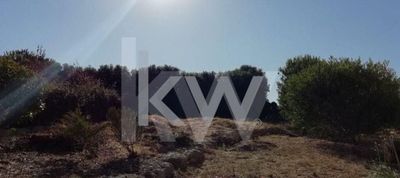 4 bedrooms House in Sintra, Portugal No. 163985 31