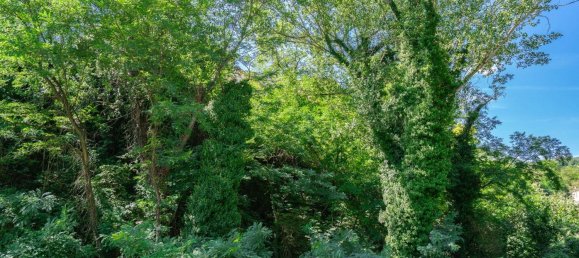 3 bedrooms Apartment in Sasso Marconi, Italy No. 351297 2