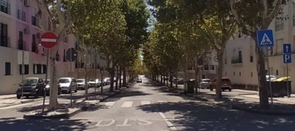  Land in Palmela, Portugal No. 189933 4