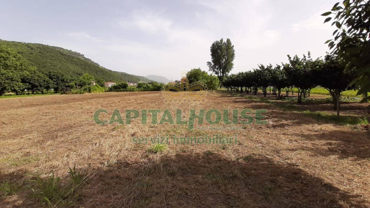 1 room Land in Montoro, Italy No. 77503