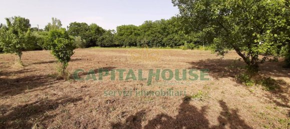 1 room Land in Montoro, Italy No. 77503 5