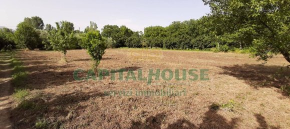 1 room Land in Montoro, Italy No. 77503 4