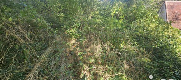 1263m² Land in Yonne, France No. 324094 3