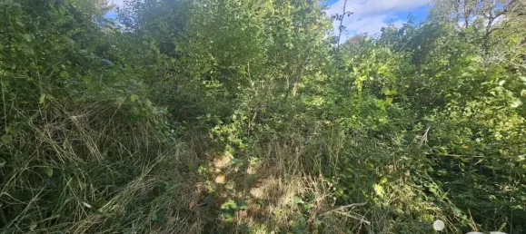 1263m² Land in Yonne, France No. 324094 4