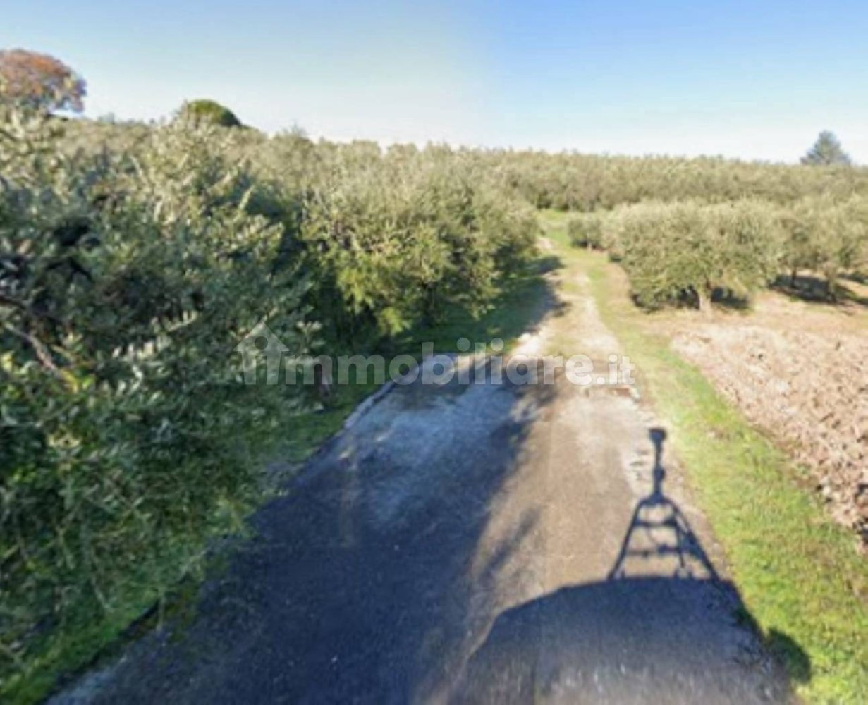 1 bedroom Apartment in Monte Urano, Italy No. 330258