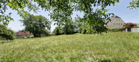 Terreno en Leonding, Austria No. 126365 11