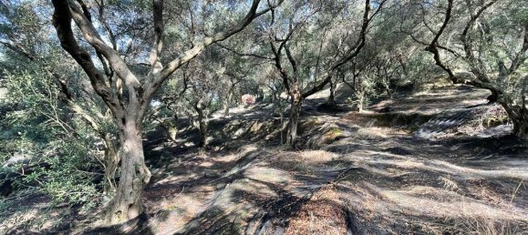 12000m² Hotel in Corfu, Greece No. 2795 11