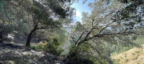 12000m² Hotel in Corfu, Greece No. 2795 14