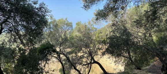 12000m² Hotel in Corfu, Greece No. 2795 12