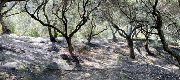 12000m² Hotel in Corfu, Greece No. 2795 9