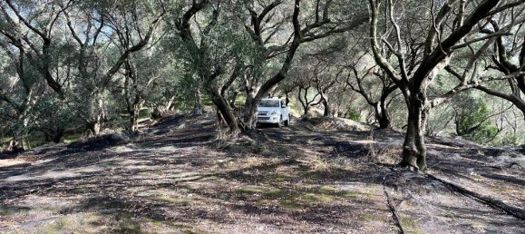 12000m² Hotel in Corfu, Greece No. 2795 6