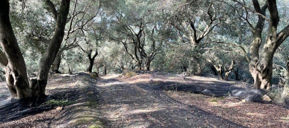 12000m² Hotel in Corfu, Greece No. 2795 8